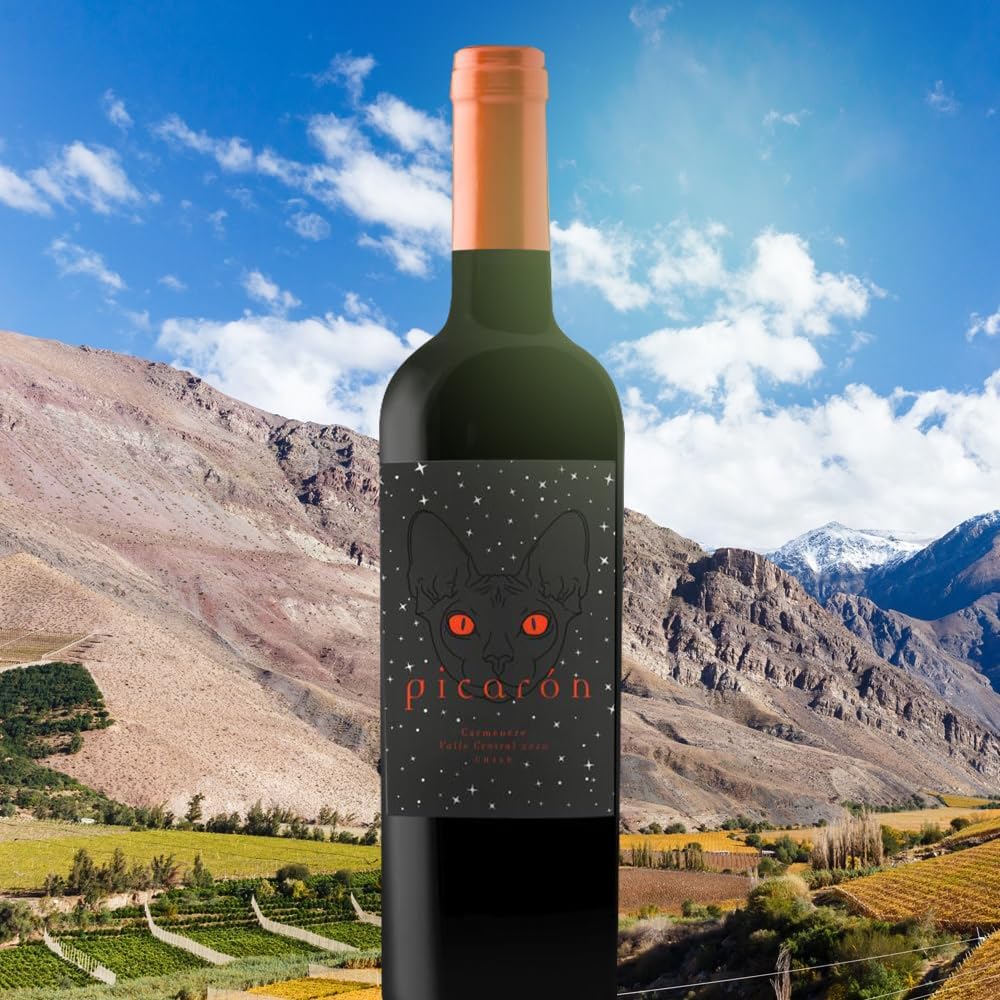Vinho Picarón Carmenere 750ml - Imagem 2