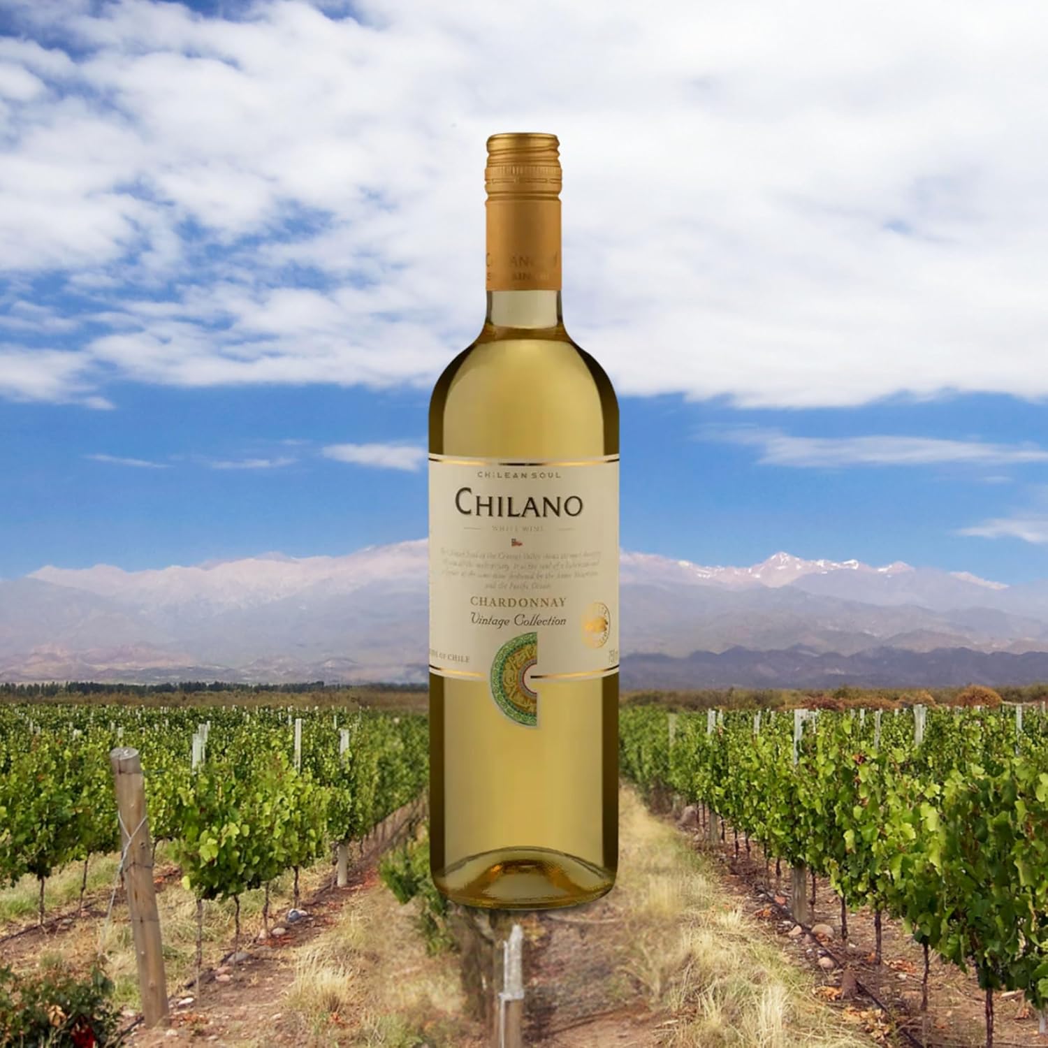 Chilano Vinho Chardonnay 750Ml - Imagem 3