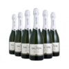 PACK Espumante Salton Moscatel 750ml